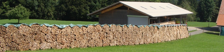 Luftgetrocknetes Brennholz