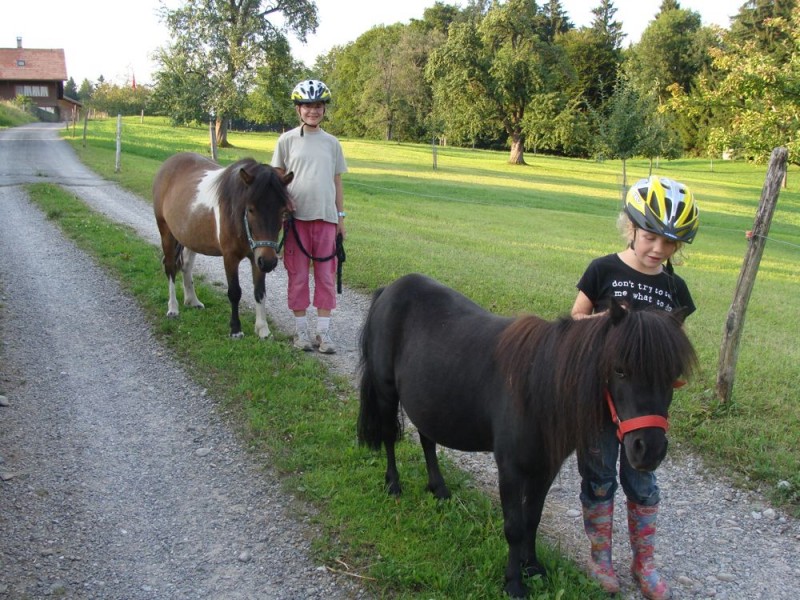 Spaziergang mit unseren Ponys